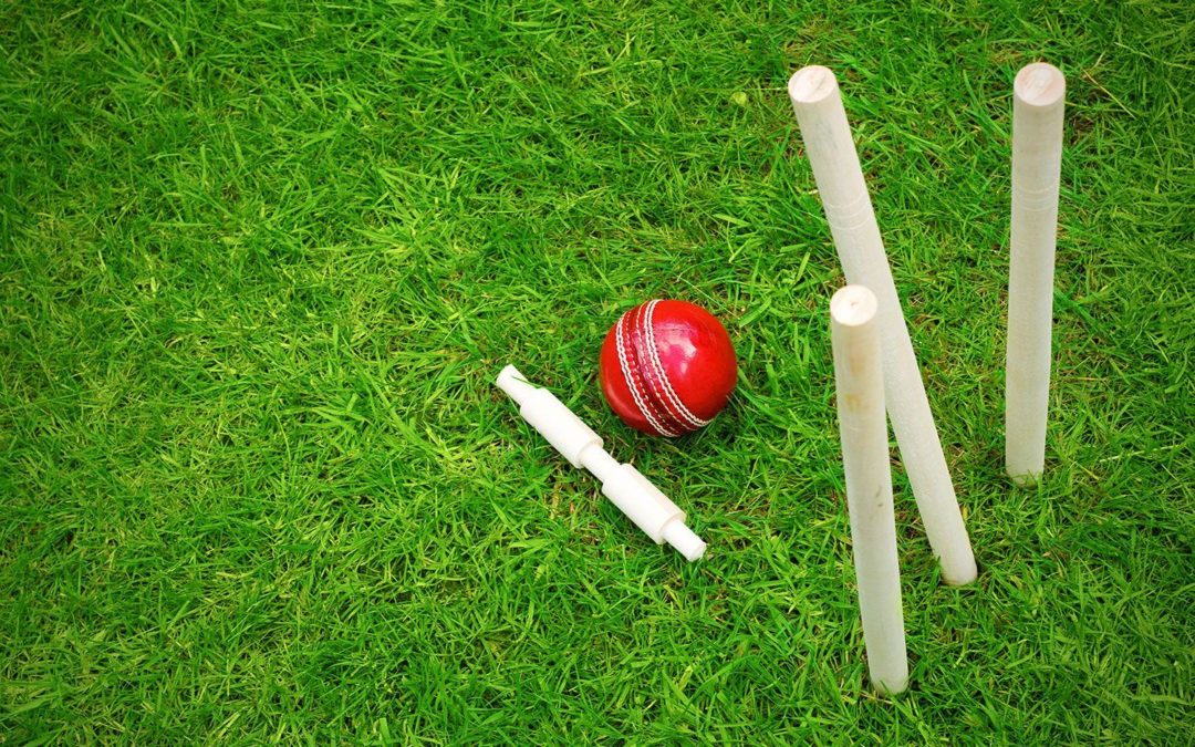Northern Cricket Union looks to appoint a Chief Executive